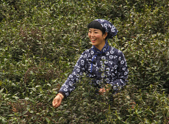 情欲镜头语言
